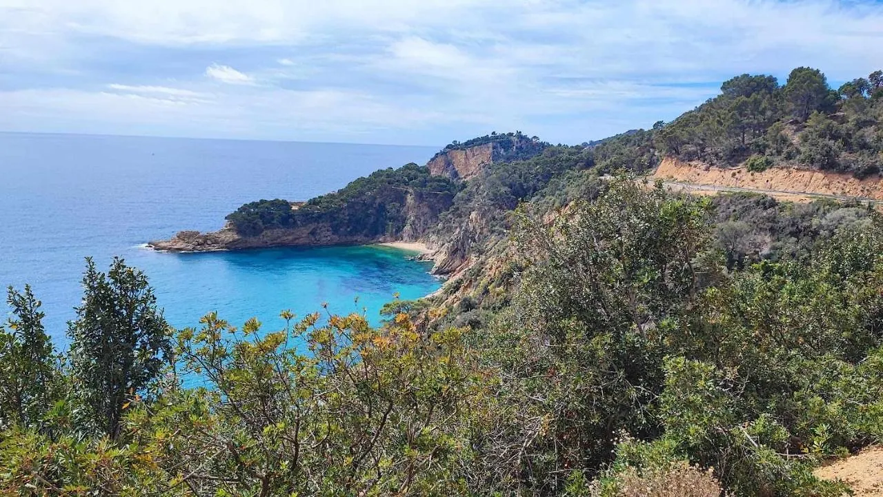 Espiga Cala Privada Tossa De Mar Apartment Girona