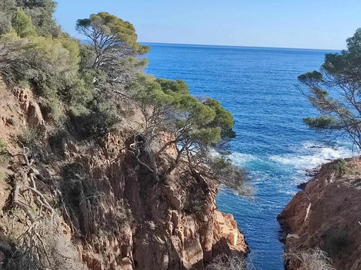 Espiga Cala Privada Tossa De Mar Apartment Girona Spain