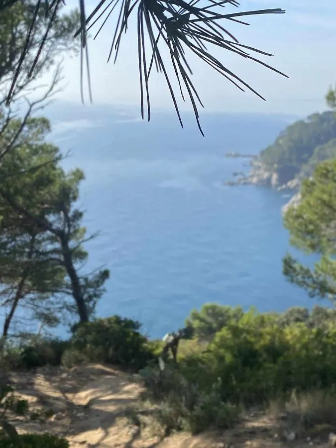 Espiga Cala Privada Tossa De Mar Apartment Girona